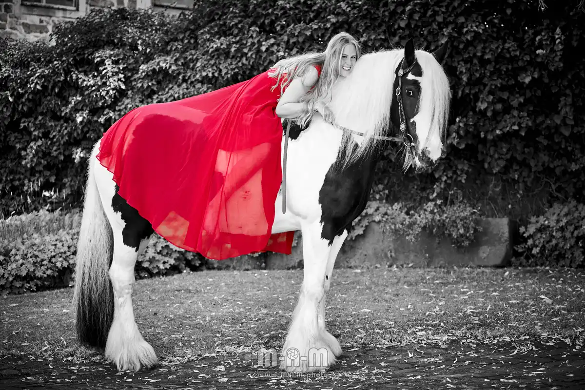 Portrait auf Pferd